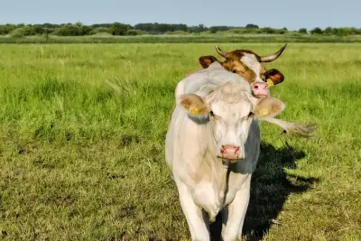 Biotechnologie et agriculture bio à la ferme Bytemeuh