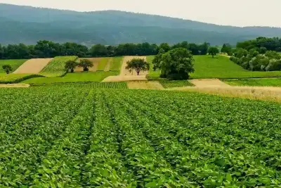 Développement durable et alimentation responsable