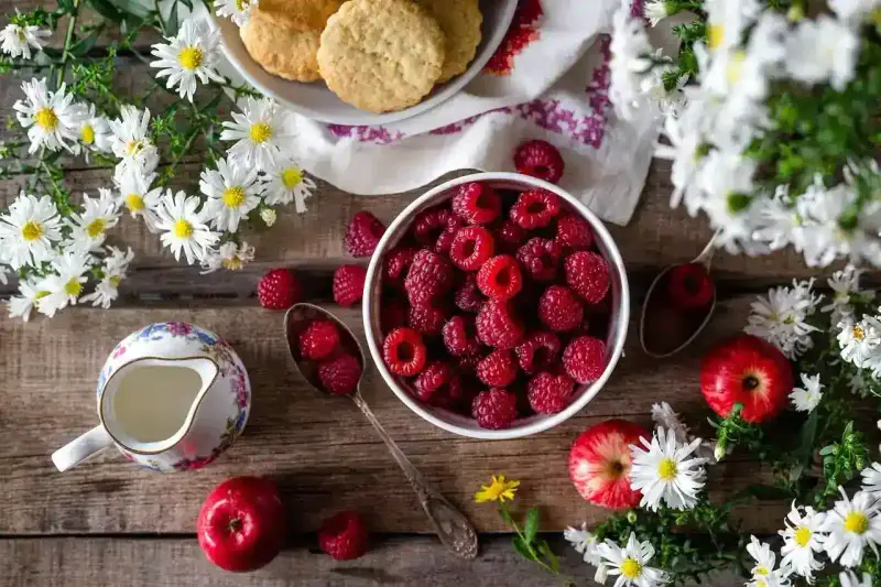 Application mobile de suivi nutritionnel et alimentation saine